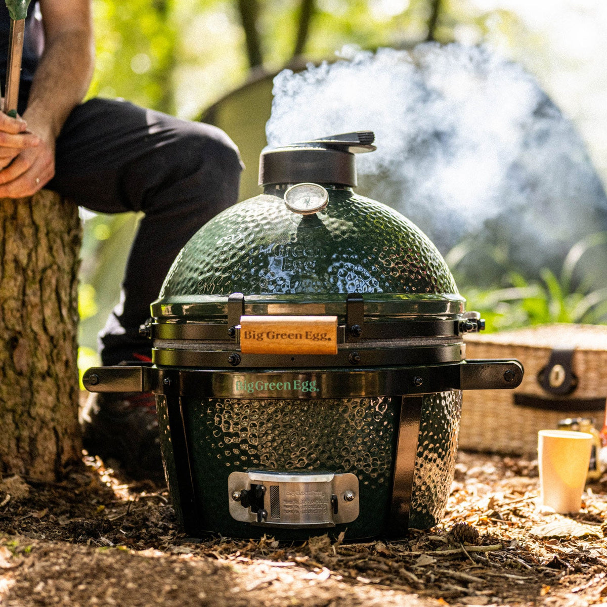 Ensemble MiniMax Big Green Egg